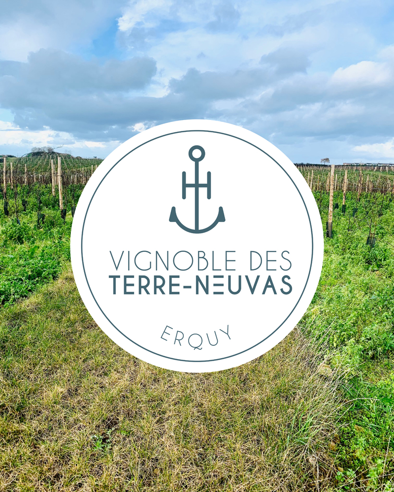 graphiste<br />
chargee de communication saint malo lann gourlae